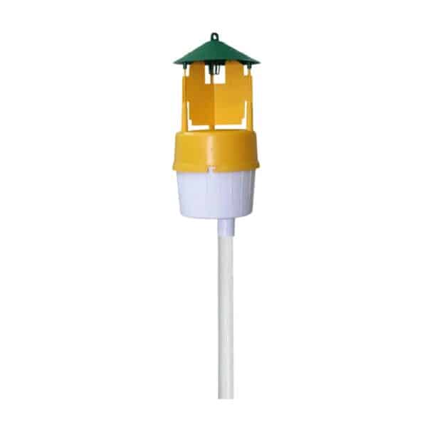 Piège à Papillons Funnel Barrière Sol