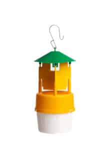Piège à Papillons Funnel Barrière Arbres