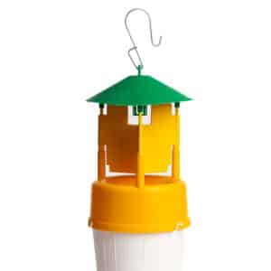Piège à Papillons Funnel Barrière Arbres