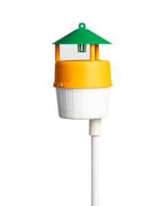 Piège à Papillons Funnel Sol