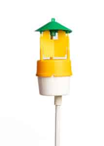Piège à Papillons Funnel Barrière Sol