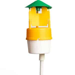 Piège à Papillons Funnel Barrière Sol
